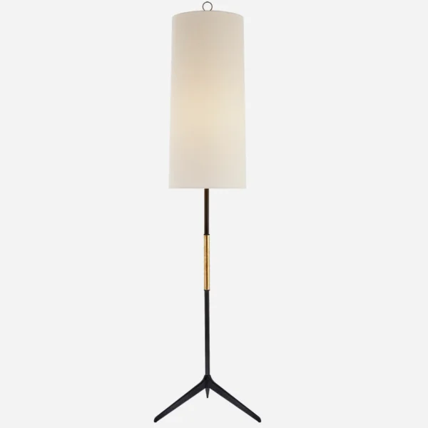 AERIN | Frankfort Floor Lamp | Aged Iron