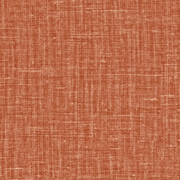 Arte | Gioco | Ginger