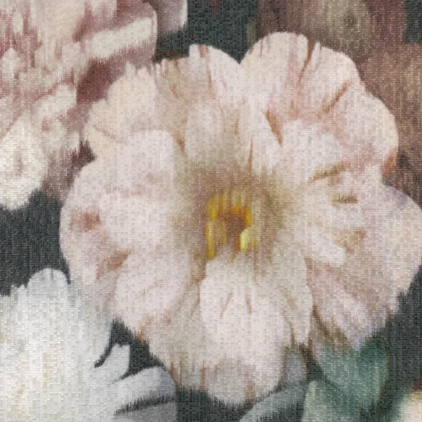 Black Edition | Herbaria | Malva