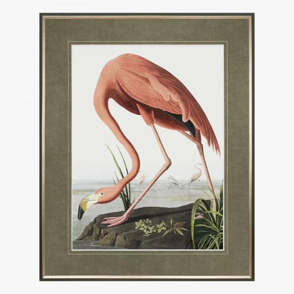 Classic Flamingo Framed Art