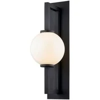 Darwin, Light, Black - Andrew Martin