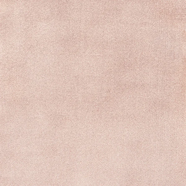 DEDAR | Splendido | Rose