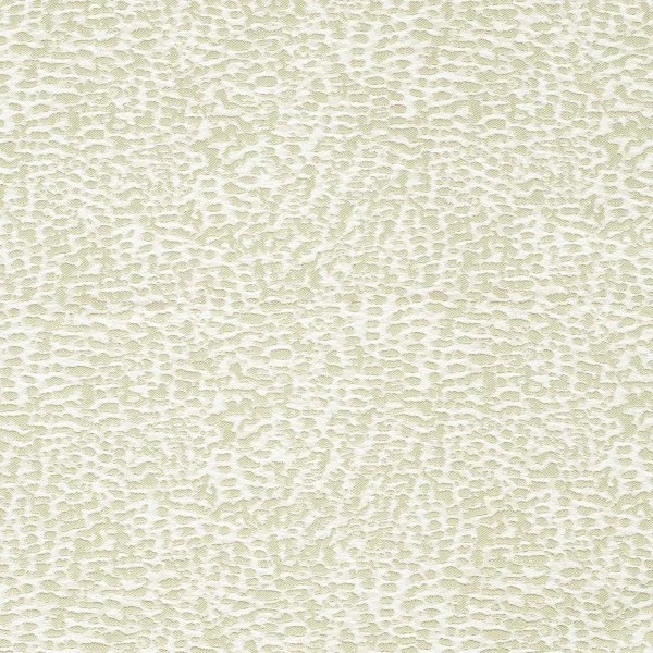 Evitavonni | Coral | Seafoam