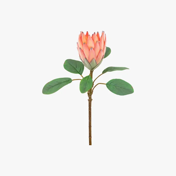 Faux Apricot Tropical Stem, Set of 12