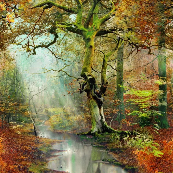 Jean Paul Gaultier | Sous Bois | Foret
