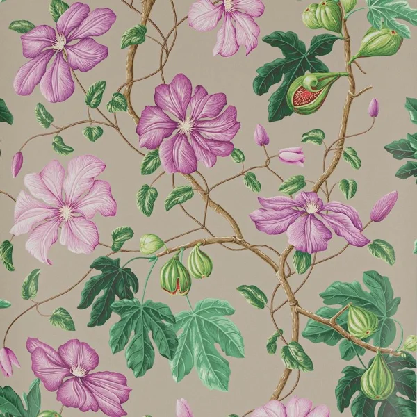 Manuel Canovas | Castellane | Manganese