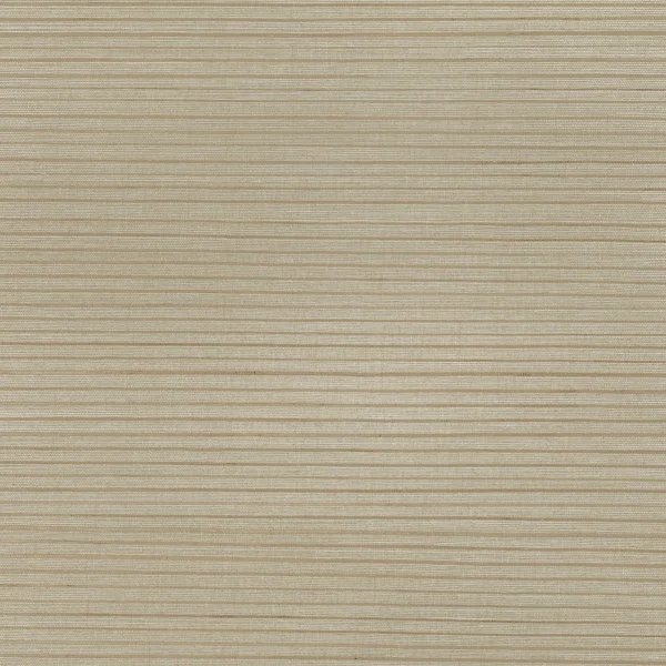 Mark Alexander | Seagrass | Parchment