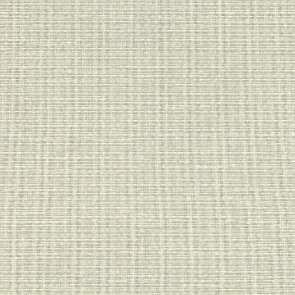 Mark Alexander | Shifu | Pearl