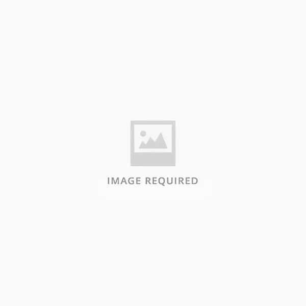 Michael Aram I Butterfly Ginkgo Luxe Seder Plate