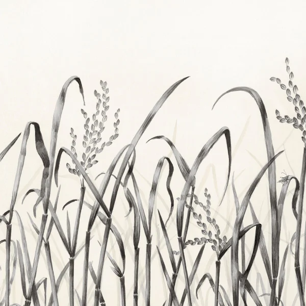 Nobilis | Hors Champs | PAN130