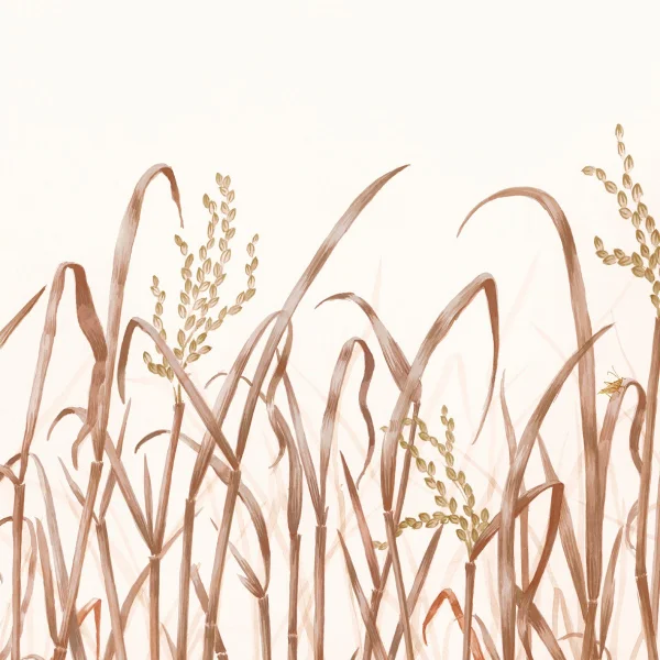 Nobilis | Hors Champs | PAN131