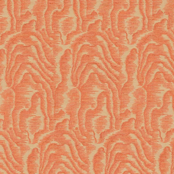 Nobilis | Legno | 56