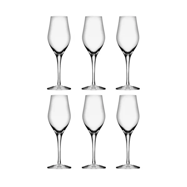 Orrefors Sense champagne glass 25.5 cl 6-pack Clear