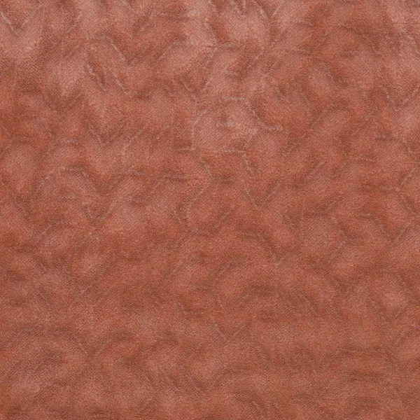 Osborne & Little | Talbot | Coral