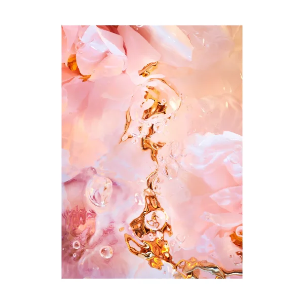 Paper Collective Flora Aquatica 02 poster 70x100 cm