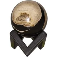 Petrified Wood Sphere - Small, Decorative Accessory, Small - Andrew Martin