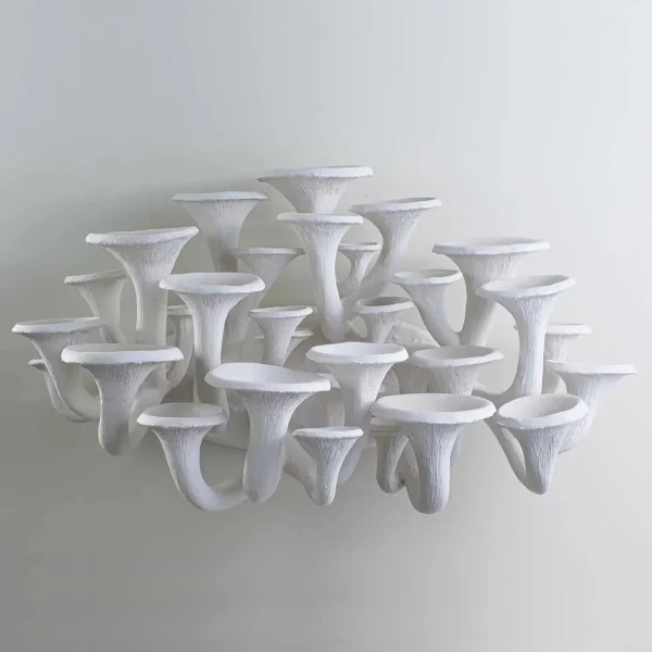 Porta Romana | Mushroom Wall Light Large