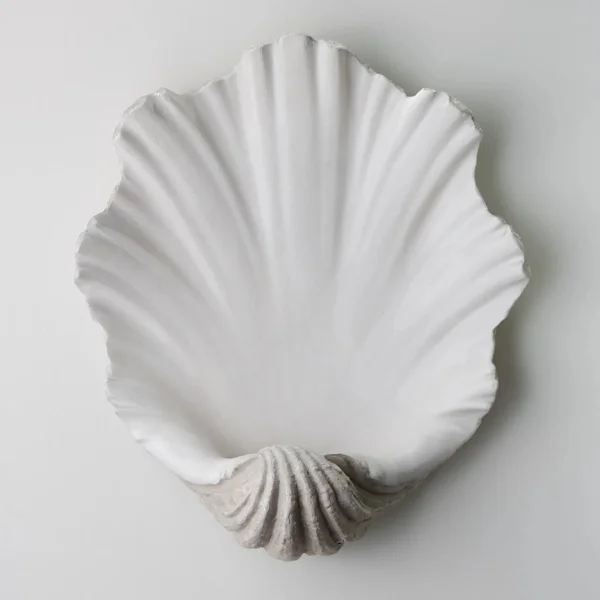 Porta Romana | Scallop Shell Wall Light