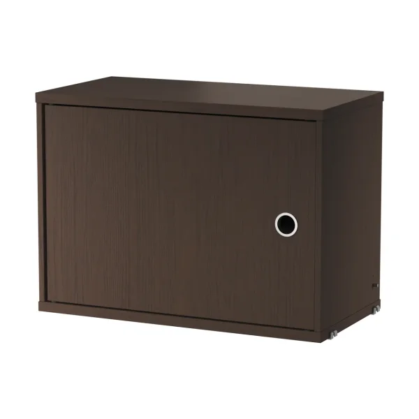 String String cabinet with door Dark oak, 58x30 cm