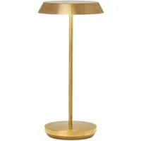 Tepa, Light, Natural Brass - Andrew Martin