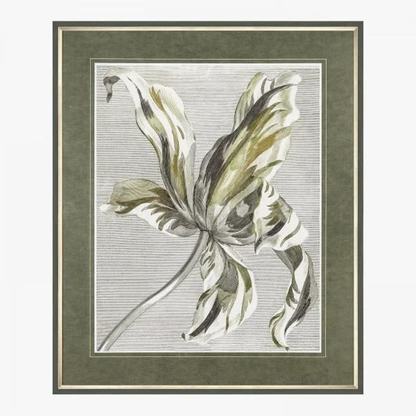 Tulip Illustration Framed Wall Art