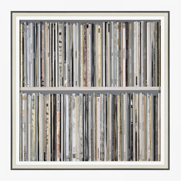 Vinyl Shelf Framed Wall Art